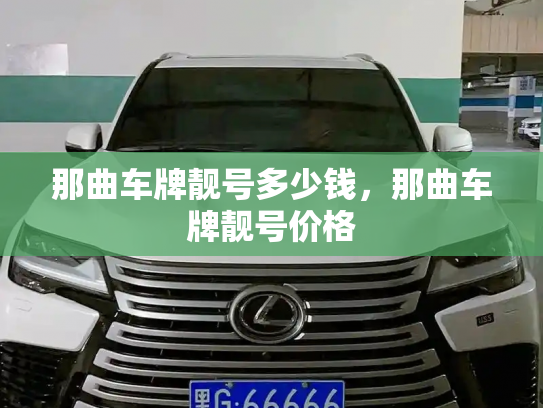 那曲车牌靓号多少钱,那曲车牌靓号价格-第4张图片-七号汽车选号 那曲车牌靓号多少钱,那曲车牌靓号价格-第4张图片-七号汽车选号