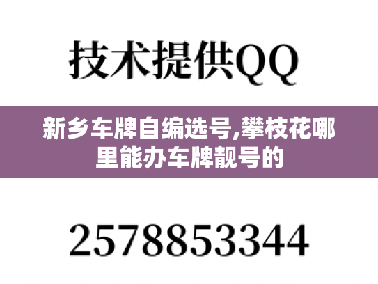 新乡车牌自编选号,攀枝花哪里能办车牌靓号的