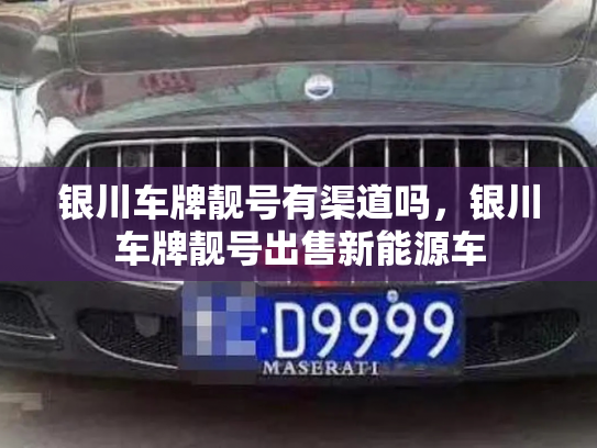 银川车牌靓号有渠道吗,银川车牌靓号出售新能源车-第3张图片-七号汽车选号 银川车牌靓号有渠道吗,银川车牌靓号出售新能源车-第3张图片-七号汽车选号