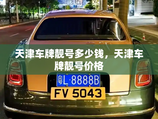 天津车牌靓号多少钱,天津车牌靓号价格-第3张图片-七号汽车选号 天津车牌靓号多少钱,天津车牌靓号价格-第3张图片-七号汽车选号