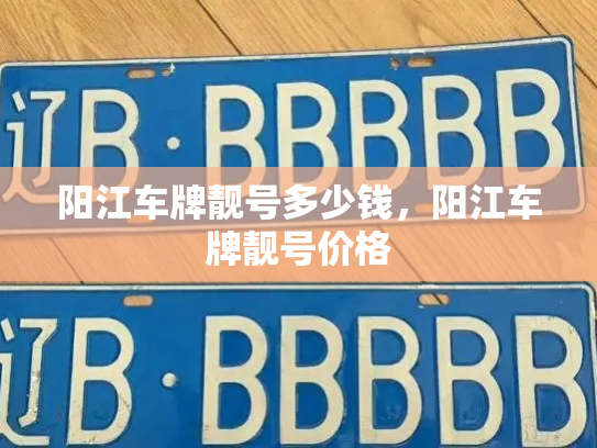 阳江车牌靓号多少钱,阳江车牌靓号价格-第4张图片-七号汽车选号 阳江车牌靓号多少钱,阳江车牌靓号价格-第4张图片-七号汽车选号