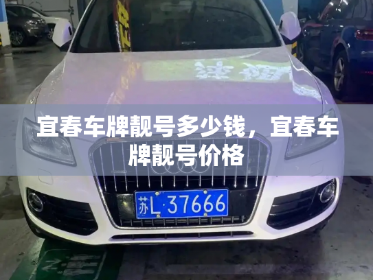 宜春车牌靓号多少钱,宜春车牌靓号价格-第3张图片-七号汽车选号 宜春车牌靓号多少钱,宜春车牌靓号价格-第3张图片-七号汽车选号