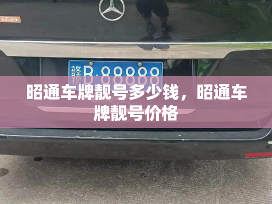 昭通车牌靓号多少钱,昭通车牌靓号价格-第4张图片-七号汽车选号 昭通车牌靓号多少钱,昭通车牌靓号价格-第4张图片-七号汽车选号