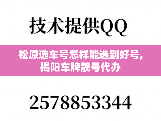 松原选车号怎样能选到好号,揭阳车牌靓号代办