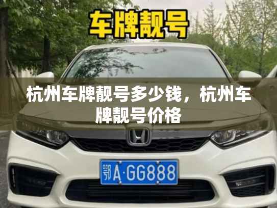 杭州车牌靓号多少钱,杭州车牌靓号价格-第4张图片-七号汽车选号 杭州车牌靓号多少钱,杭州车牌靓号价格-第4张图片-七号汽车选号