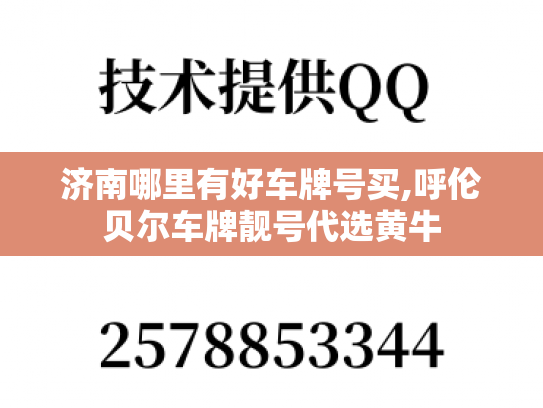 济南哪里有好车牌号买,呼伦贝尔车牌靓号代选黄牛