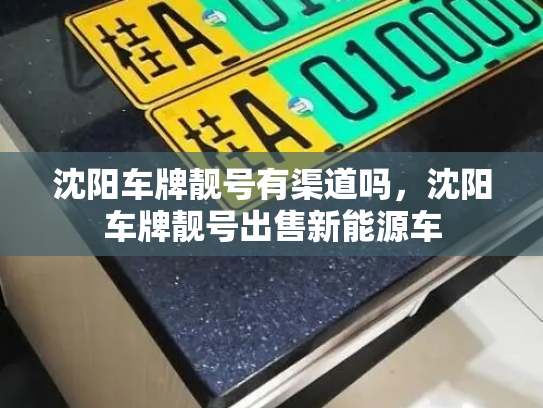 沈阳车牌靓号有渠道吗，沈阳车牌靓号出售新能源车-第2张图片-七号汽车选号
