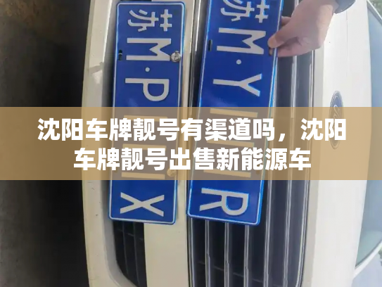 沈阳车牌靓号有渠道吗，沈阳车牌靓号出售新能源车-第3张图片-七号汽车选号