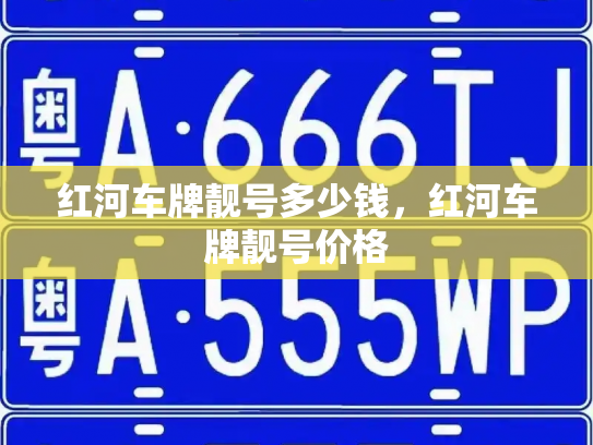 红河车牌靓号多少钱,红河车牌靓号价格-第3张图片-七号汽车选号 红河车牌靓号多少钱,红河车牌靓号价格-第3张图片-七号汽车选号