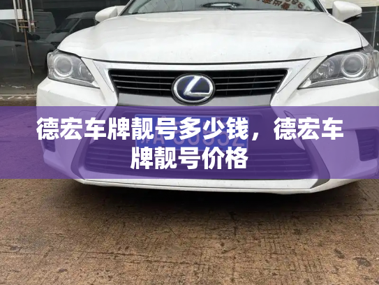 德宏车牌靓号多少钱,德宏车牌靓号价格-第4张图片-七号汽车选号 德宏车牌靓号多少钱,德宏车牌靓号价格-第4张图片-七号汽车选号