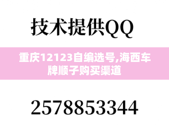 重庆12123自编选号,海西车牌顺子购买渠道