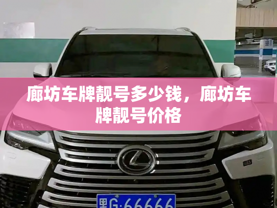 廊坊车牌靓号多少钱,廊坊车牌靓号价格-第4张图片-七号汽车选号 廊坊车牌靓号多少钱,廊坊车牌靓号价格-第4张图片-七号汽车选号