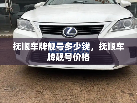 抚顺车牌靓号多少钱,抚顺车牌靓号价格-第4张图片-七号汽车选号 抚顺车牌靓号多少钱,抚顺车牌靓号价格-第4张图片-七号汽车选号