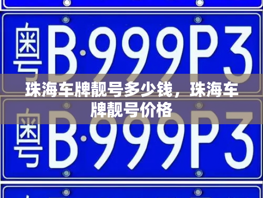 珠海车牌靓号多少钱,珠海车牌靓号价格-第3张图片-七号汽车选号 珠海车牌靓号多少钱,珠海车牌靓号价格-第3张图片-七号汽车选号