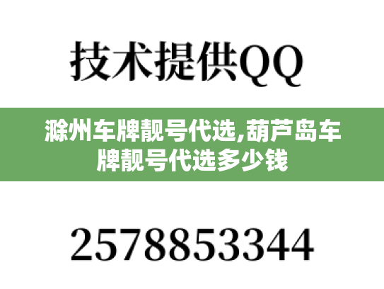 滁州车牌靓号代选,葫芦岛车牌靓号代选多少钱-第1张图片-七号汽车选号