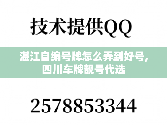 湛江自编号牌怎么弄到好号,四川车牌靓号代选-第1张图片-七号汽车选号