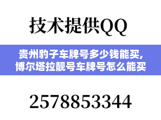 贵州豹子车牌号多少钱能买,博尔塔拉靓号车牌号怎么能买到-第1张图片-七号汽车选号