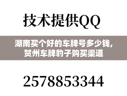 湖南买个好的车牌号多少钱,贺州车牌豹子购买渠道-第1张图片-七号汽车选号