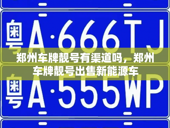 郑州车牌靓号有渠道吗，郑州车牌靓号出售新能源车-第3张图片-七号汽车选号