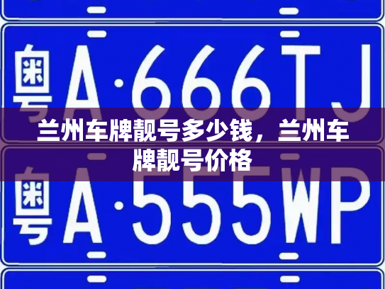 兰州车牌靓号多少钱，兰州车牌靓号价格-第4张图片-七号汽车选号