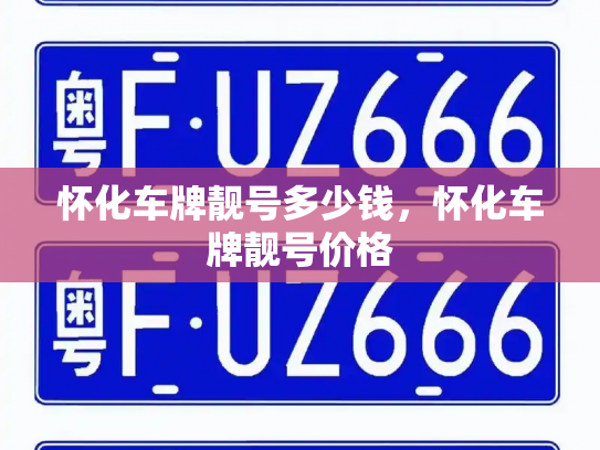 怀化车牌靓号多少钱，怀化车牌靓号价格-第3张图片-七号汽车选号