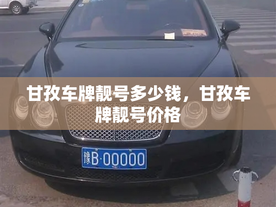 甘孜车牌靓号多少钱,甘孜车牌靓号价格-第2张图片-七号汽车选号 甘孜车牌靓号多少钱,甘孜车牌靓号价格-第2张图片-七号汽车选号