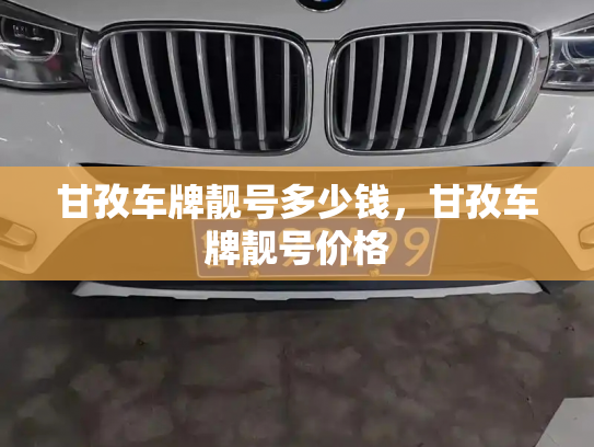 甘孜车牌靓号多少钱,甘孜车牌靓号价格-第3张图片-七号汽车选号 甘孜车牌靓号多少钱,甘孜车牌靓号价格-第3张图片-七号汽车选号