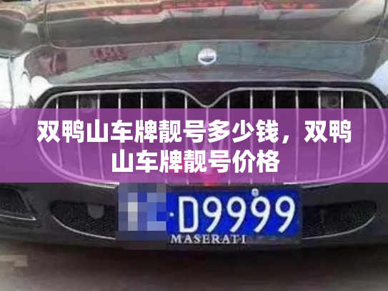 双鸭山车牌靓号多少钱,双鸭山车牌靓号价格-第3张图片-七号汽车选号 双鸭山车牌靓号多少钱,双鸭山车牌靓号价格-第3张图片-七号汽车选号