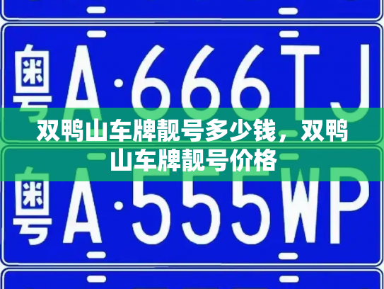 双鸭山车牌靓号多少钱,双鸭山车牌靓号价格-第4张图片-七号汽车选号 双鸭山车牌靓号多少钱,双鸭山车牌靓号价格-第4张图片-七号汽车选号