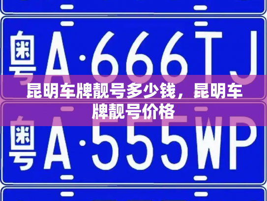 昆明车牌靓号多少钱,昆明车牌靓号价格-第3张图片-七号汽车选号 昆明车牌靓号多少钱,昆明车牌靓号价格-第3张图片-七号汽车选号