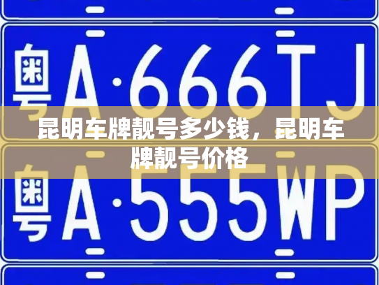 昆明车牌靓号多少钱,昆明车牌靓号价格-第4张图片-七号汽车选号 昆明车牌靓号多少钱,昆明车牌靓号价格-第4张图片-七号汽车选号