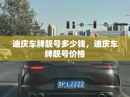 迪庆车牌靓号多少钱,迪庆车牌靓号价格-第4张图片-七号汽车选号 迪庆车牌靓号多少钱,迪庆车牌靓号价格-第4张图片-七号汽车选号