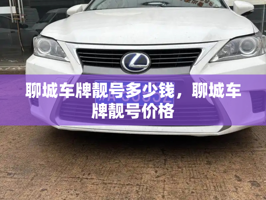 聊城车牌靓号多少钱,聊城车牌靓号价格-第3张图片-七号汽车选号 聊城车牌靓号多少钱,聊城车牌靓号价格-第3张图片-七号汽车选号