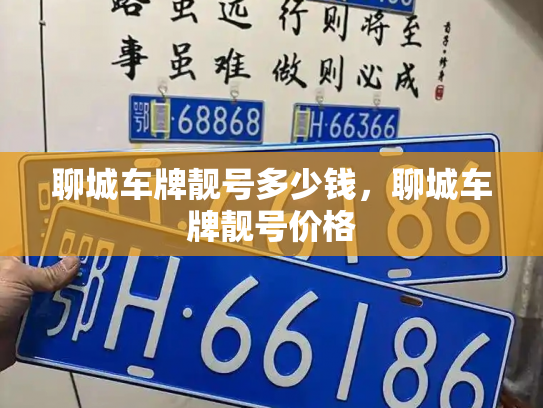 聊城车牌靓号多少钱,聊城车牌靓号价格-第4张图片-七号汽车选号 聊城车牌靓号多少钱,聊城车牌靓号价格-第4张图片-七号汽车选号