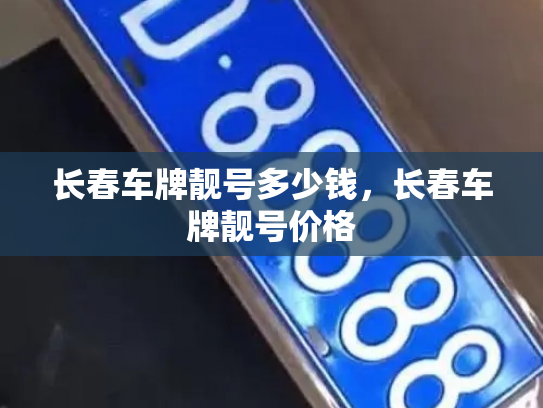 长春车牌靓号多少钱，长春车牌靓号价格-第3张图片-七号汽车选号