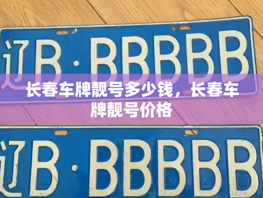 长春车牌靓号多少钱，长春车牌靓号价格-第4张图片-七号汽车选号