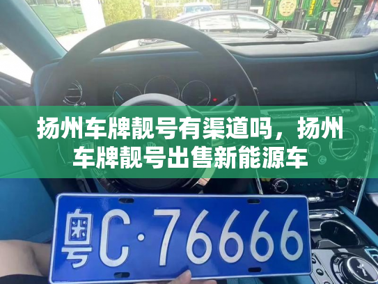 扬州车牌靓号有渠道吗，扬州车牌靓号出售新能源车-第2张图片-七号汽车选号