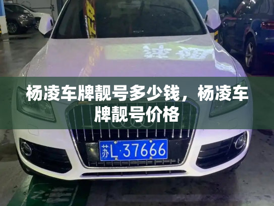 杨凌车牌靓号多少钱，杨凌车牌靓号价格-第3张图片-七号汽车选号