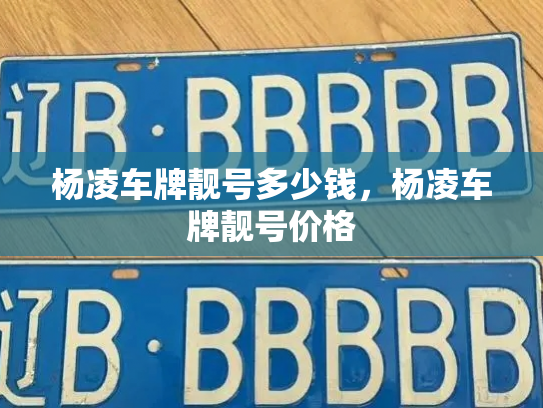 杨凌车牌靓号多少钱，杨凌车牌靓号价格-第4张图片-七号汽车选号