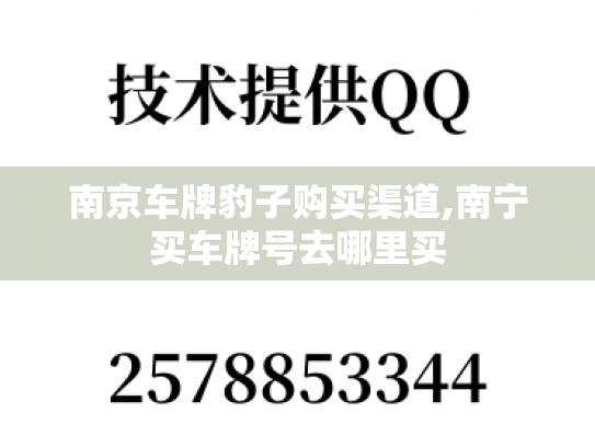南京车牌豹子购买渠道,南宁买车牌号去哪里买