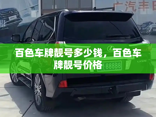 百色车牌靓号多少钱，百色车牌靓号价格-第3张图片-七号汽车选号