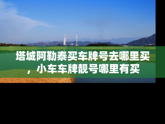 塔城阿勒泰买车牌号去哪里买，小车车牌靓号哪里有买