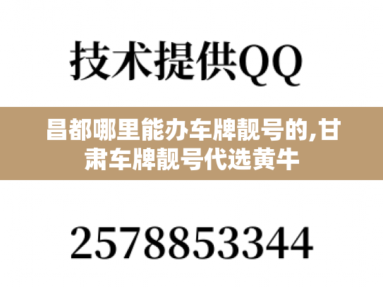 昌都哪里能办车牌靓号的,甘肃车牌靓号代选黄牛