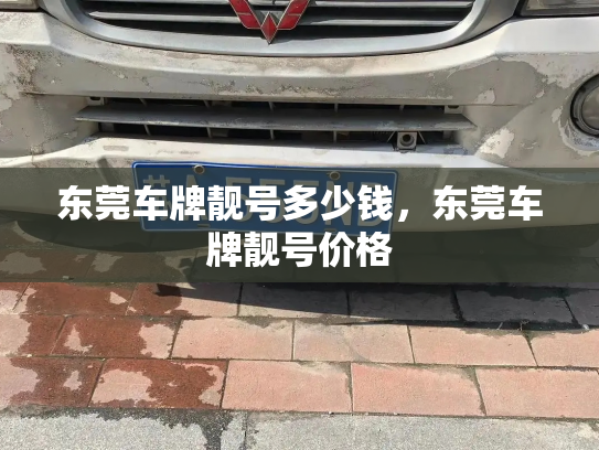 东莞车牌靓号多少钱，东莞车牌靓号价格-第3张图片-七号汽车选号