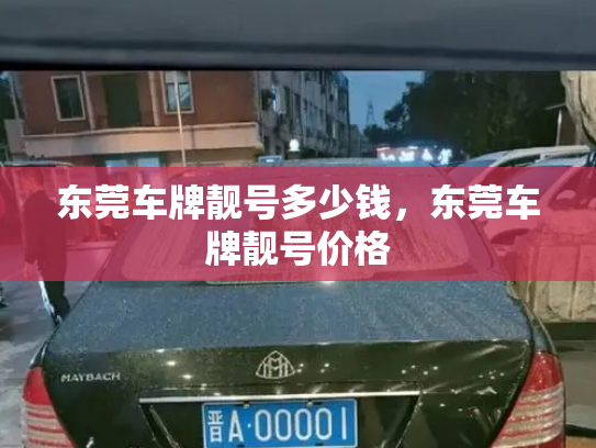 东莞车牌靓号多少钱，东莞车牌靓号价格-第4张图片-七号汽车选号