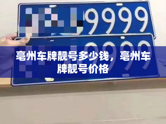 亳州车牌靓号多少钱，亳州车牌靓号价格-第3张图片-七号汽车选号