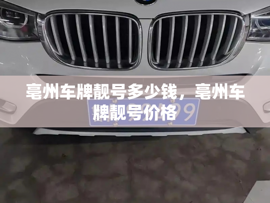 亳州车牌靓号多少钱，亳州车牌靓号价格-第4张图片-七号汽车选号