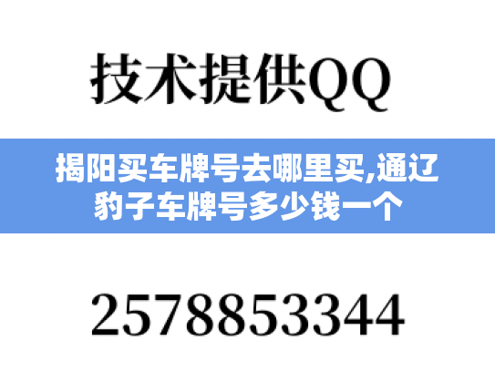 揭阳买车牌号去哪里买,通辽豹子车牌号多少钱一个