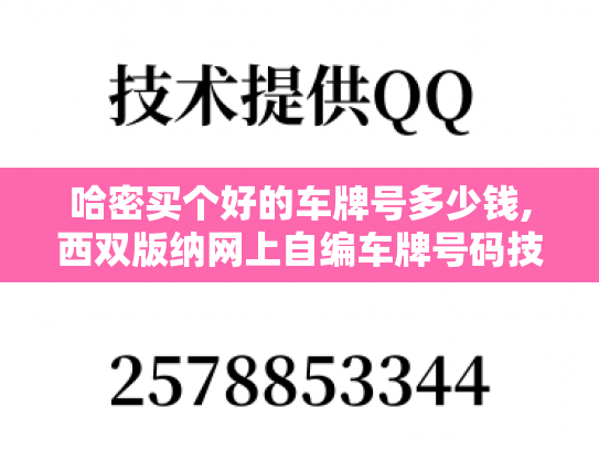 哈密买个好的车牌号多少钱,西双版纳网上自编车牌号码技巧
