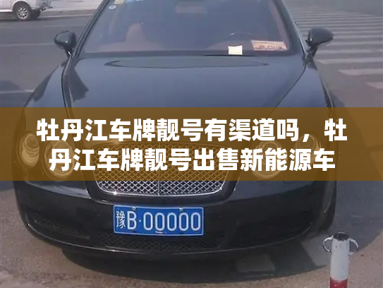 牡丹江车牌靓号有渠道吗，牡丹江车牌靓号出售新能源车-第2张图片-七号汽车选号